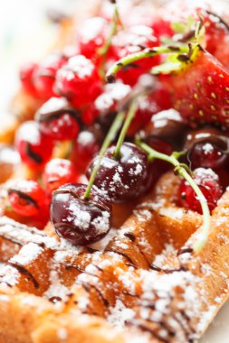 meyve ile Belçika waffle