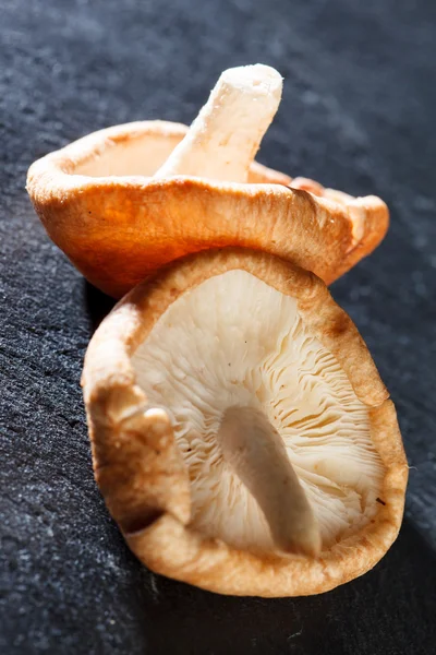 Shiitake Mushrooms — Stock Photo, Image