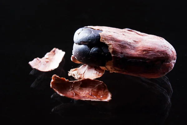 Kakao çekirdeği portre — Stok fotoğraf