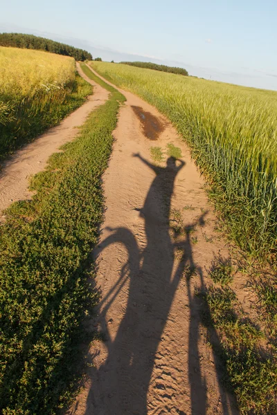 Zomer — Stockfoto