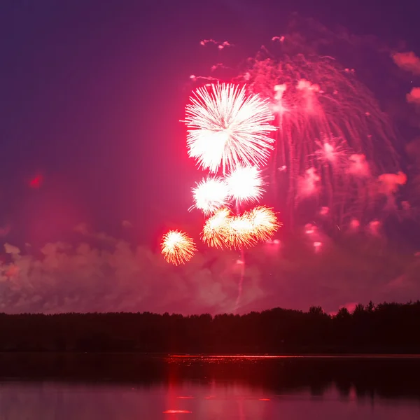 Colorful firework — Stock Photo, Image