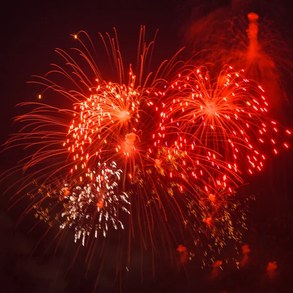 Colorful firework — Stock Photo, Image