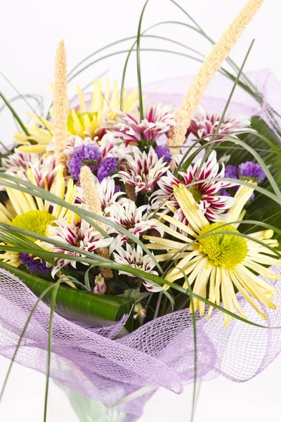 Schöne Blumen — Stockfoto