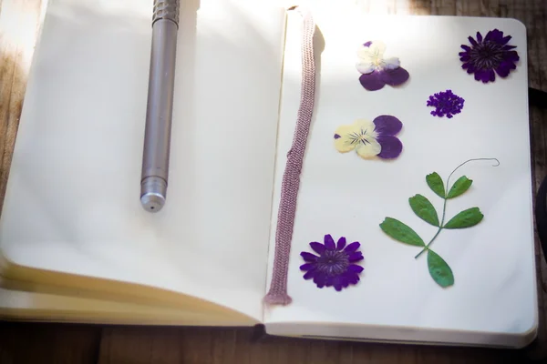 Trockene Pflanzen auf dem Notizbuch — Stockfoto