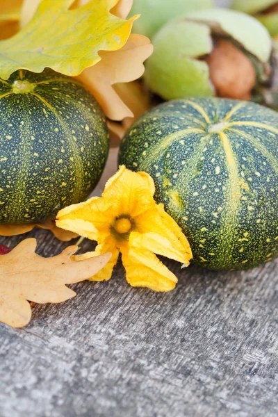 Autumn Pumpkin and Leaves — Stock Photo, Image