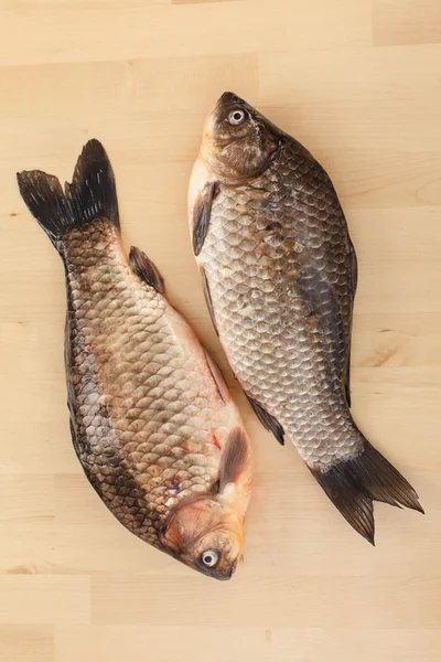 Crucian carp — Stock Image Crucian carp Royalty Free Stock Photos