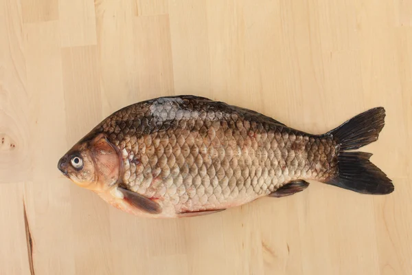 Crucian carp — Stock Image Crucian carp Stock Picture