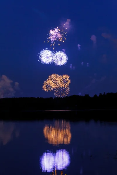 Colorful firework — Stock Photo, Image