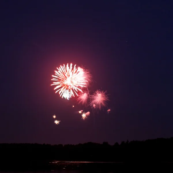 Colorful firework — Stock Photo, Image