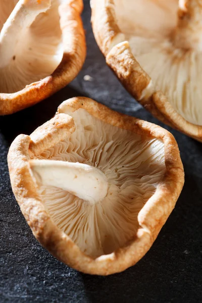 Shiitake Mushrooms — Stock Photo, Image