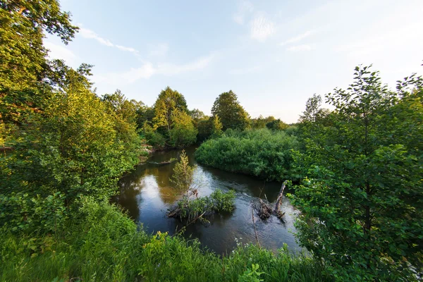 Zomer landschap — Stockfoto