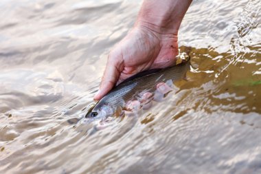 Fisher tutan bir gölge balığı