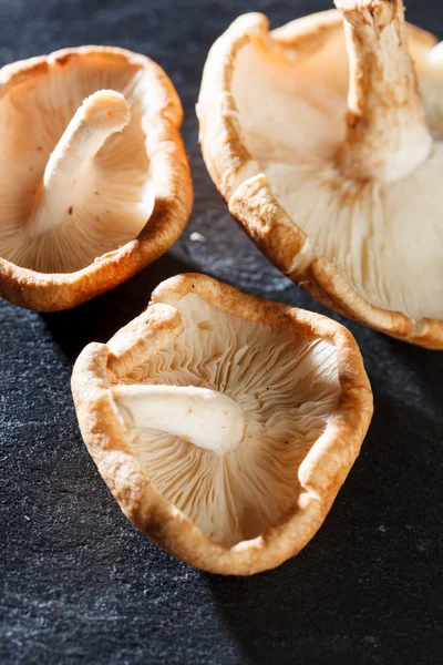 Shiitake Mushrooms — Stock Photo, Image