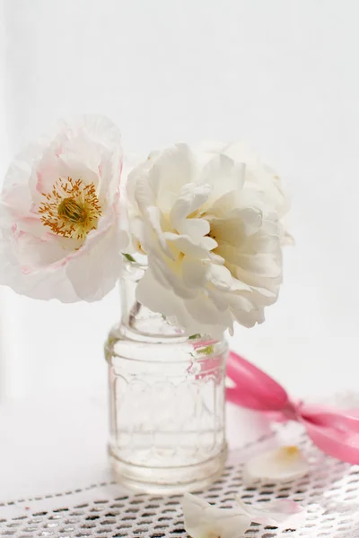 Rosas blancas — Foto de Stock