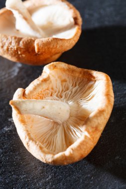 shiitake mantarları