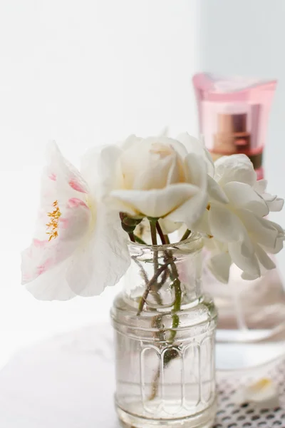 Beyaz güller — Stok fotoğraf