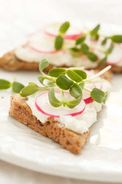 Sandwichs au radis et germes de tournesol — Photo