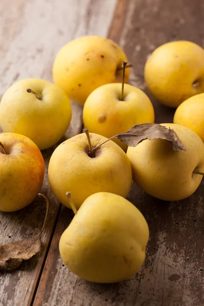 Green apples — Stock Photo, Image