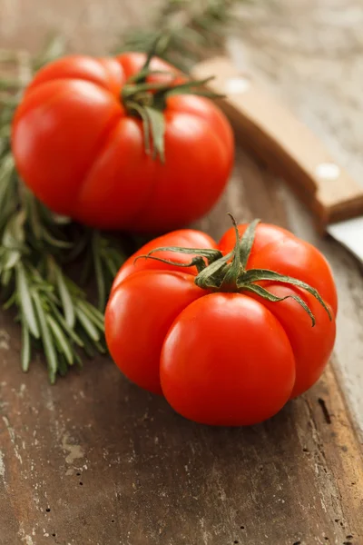 Tomates frescos —  Fotos de Stock