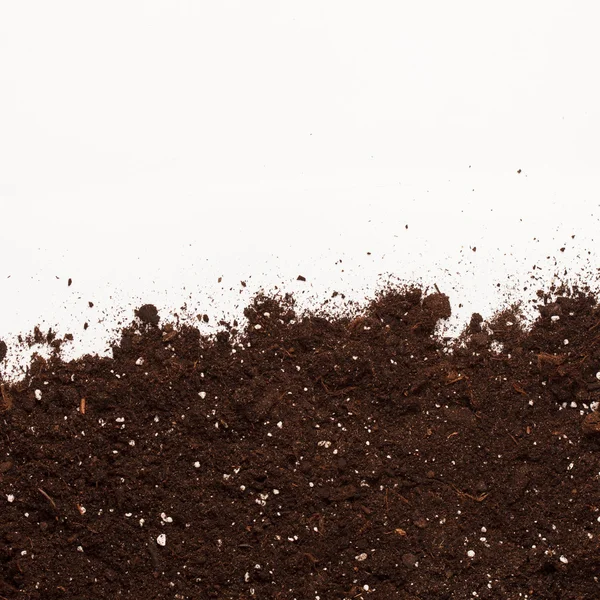 Terreno sul bianco — Foto Stock