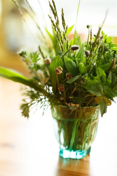 Summer grass in a glass — Stock Photo, Image