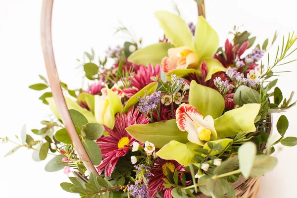 Hermosas flores —  Fotos de Stock