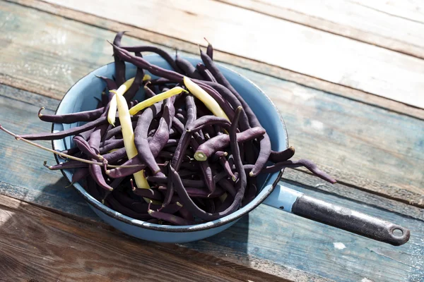 Violette String-Bohnen — Stockfoto