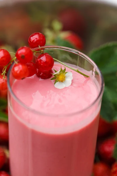 Beeren-Smoothie — Stockfoto