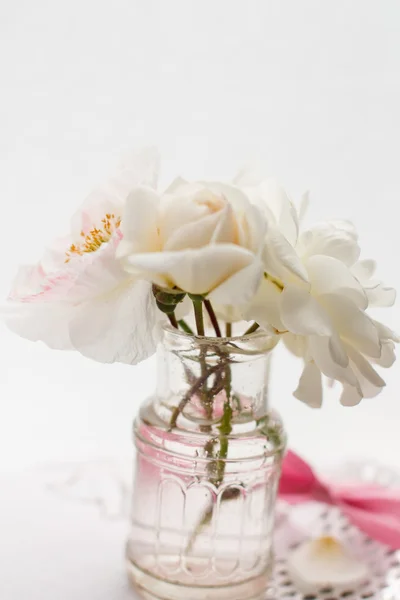 Rose dans le vase — Photo