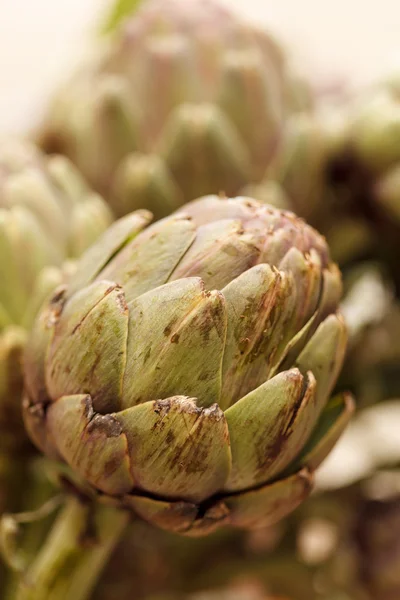 Alcachofa — Foto de Stock