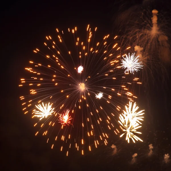 Fuegos artificiales de colores —  Fotos de Stock