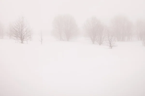 Snowy Landscape — Stock Photo, Image