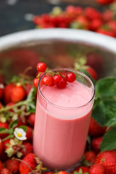 Beeren-Smoothie — Stockfoto