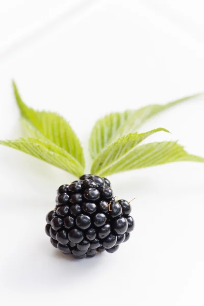 Dewberries (blackberries) and green leaves — Stock Photo, Image