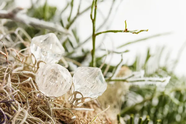 Weihnachtsdekoration — Stockfoto