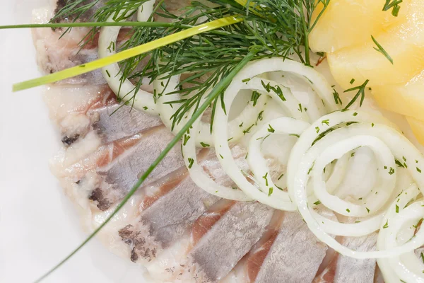 Gemarineerde haringfilets — Stockfoto