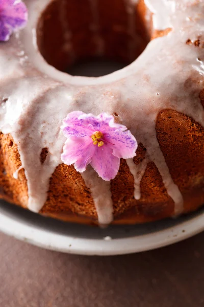 Iced cake — Stock Photo, Image