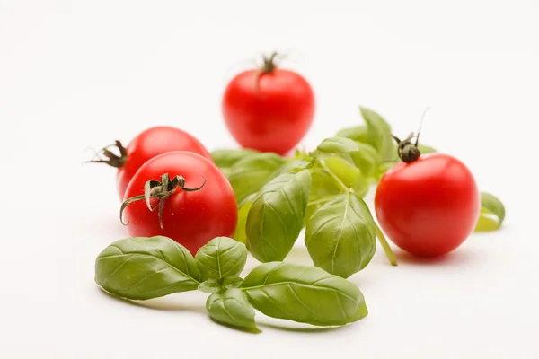 Tomates e manjericão — Fotografia de Stock