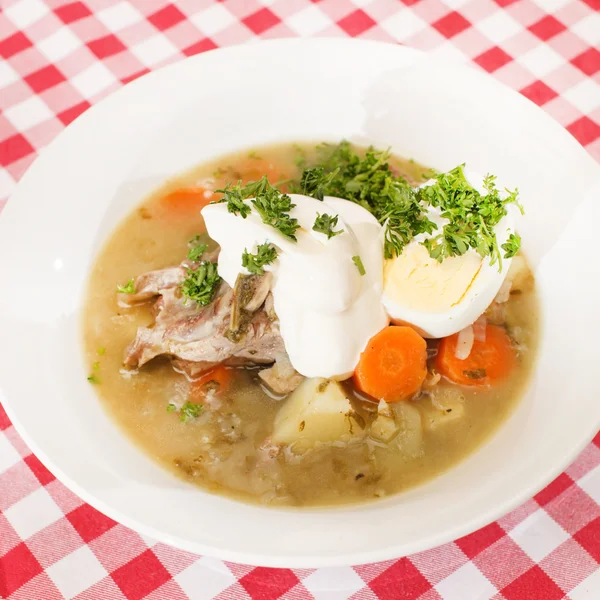 Sopa con carne — Foto de Stock