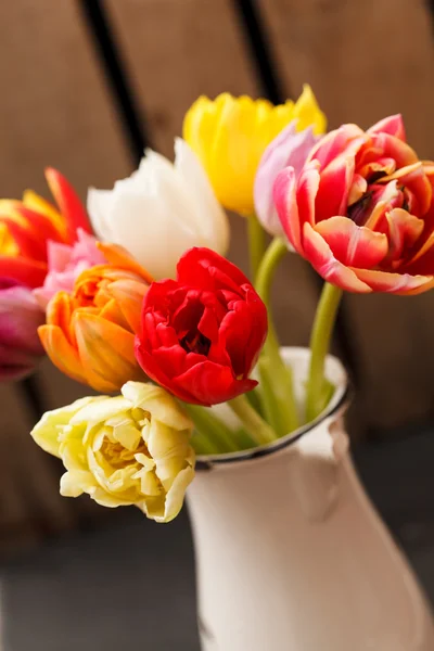 Schöne Tulpen — Stockfoto