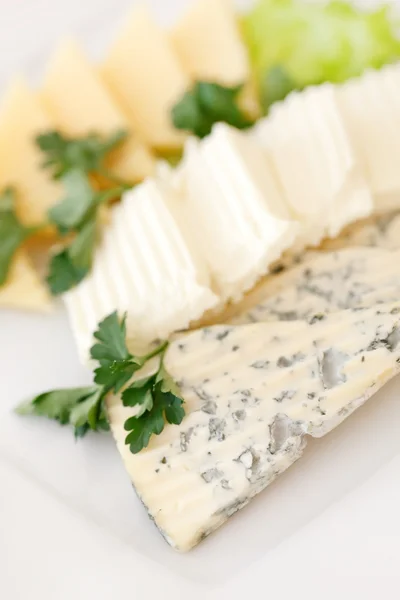 Plate of cheese — Stock Photo, Image