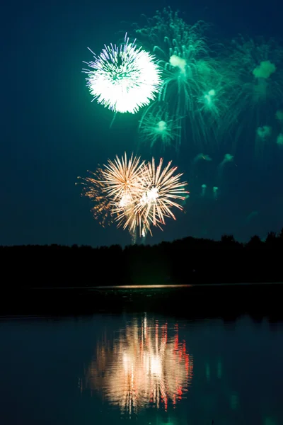 Colorful firework — Stock Photo, Image