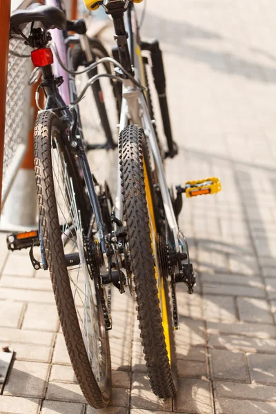 Due biciclette — Foto Stock
