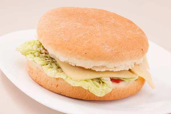 Lekkere sandwich — Stockfoto