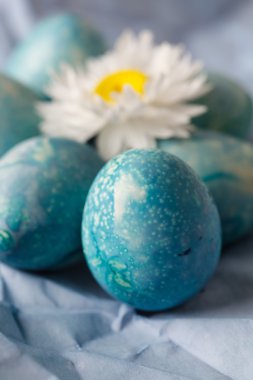 Mavi Paskalya yumurtaları