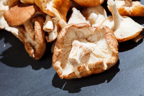 Shiitake Mushrooms — Stock Photo, Image