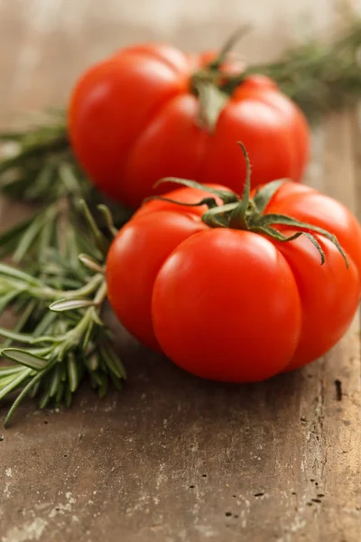 Tomates frescos —  Fotos de Stock