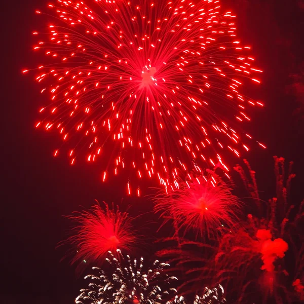 Fuegos artificiales de colores —  Fotos de Stock