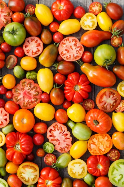 Colorful tomatoes — Stock Photo, Image