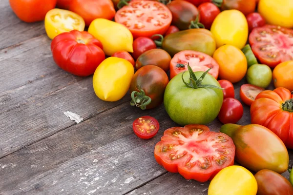 Färgglada tomater — Stockfoto